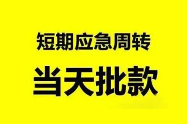 东莞1小额贷款公司